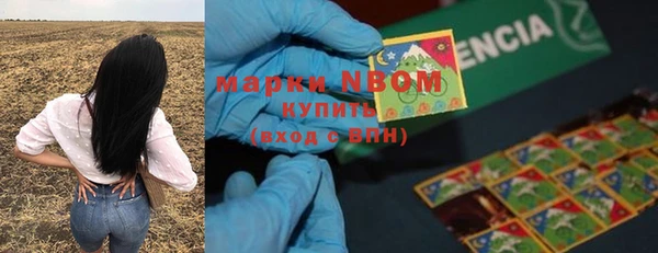 мяу мяу мука Аркадак