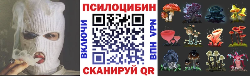 Галлюциногенные грибы ЛСД  Купить где  Урюпинск 